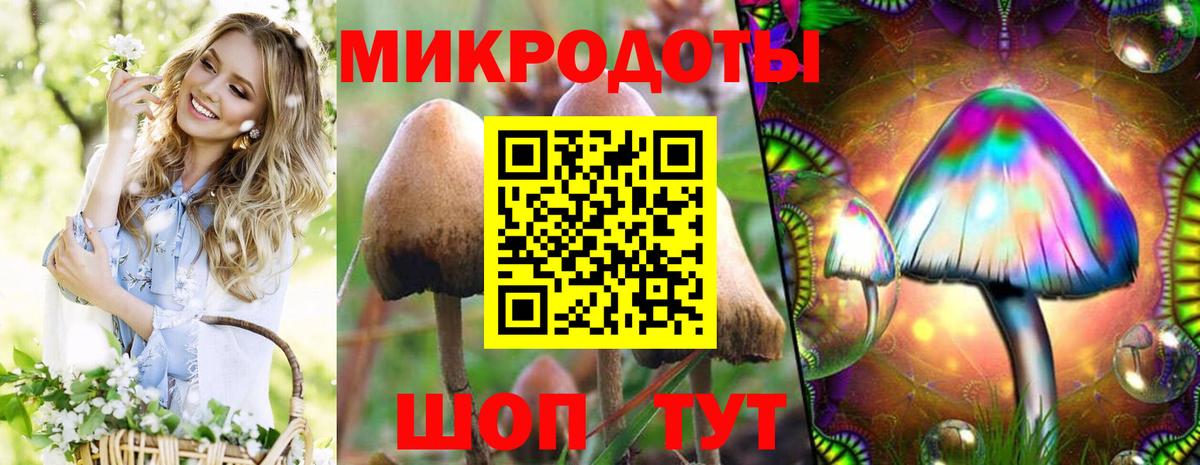 Псилоцибиновые грибы мухоморы Петровск