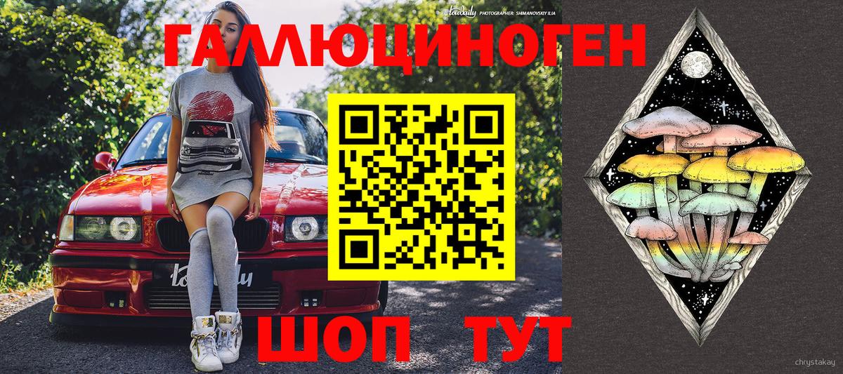 Галлюциногенные грибы MAGIC MUSHROOMS  Псилоцибиновые грибы мицелий  Петровск  Вход с VPN 